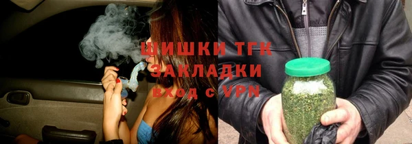 дмт Тавда