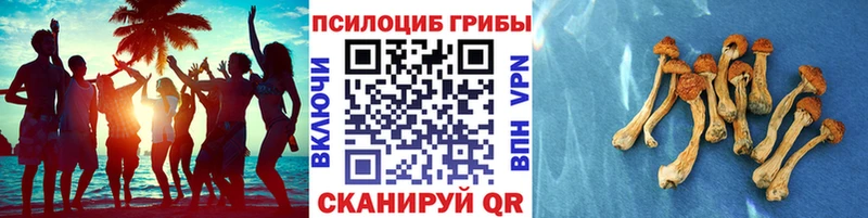 даркнет сайт  Харабали  Псилоцибиновые грибы Psilocybine cubensis 